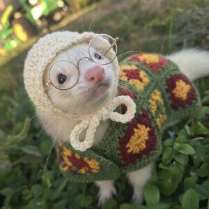 Meet your Posher, Ginny